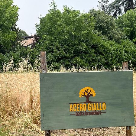 بارما Acero Giallo المظهر الخارجي الصورة