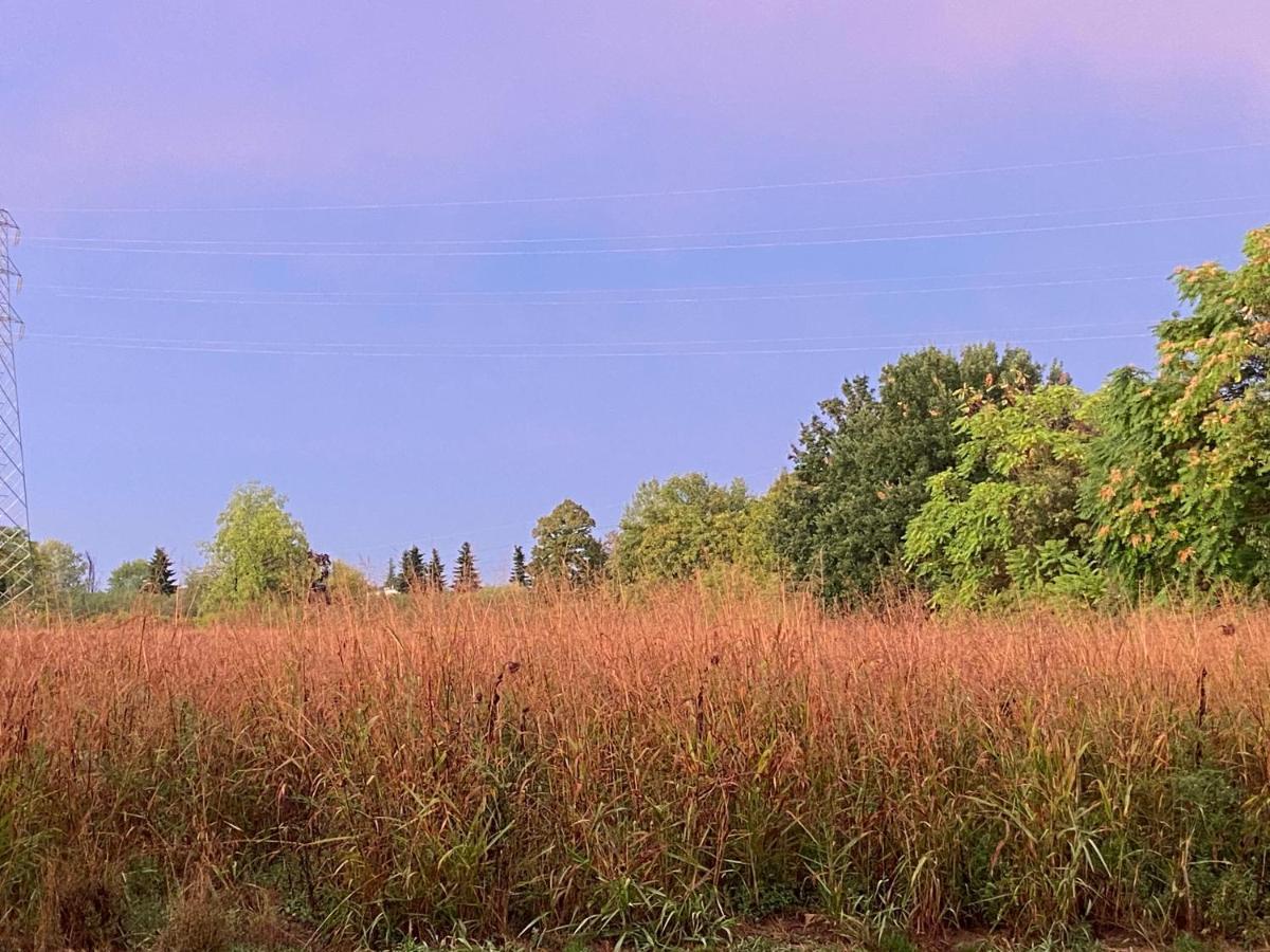 بارما Acero Giallo المظهر الخارجي الصورة