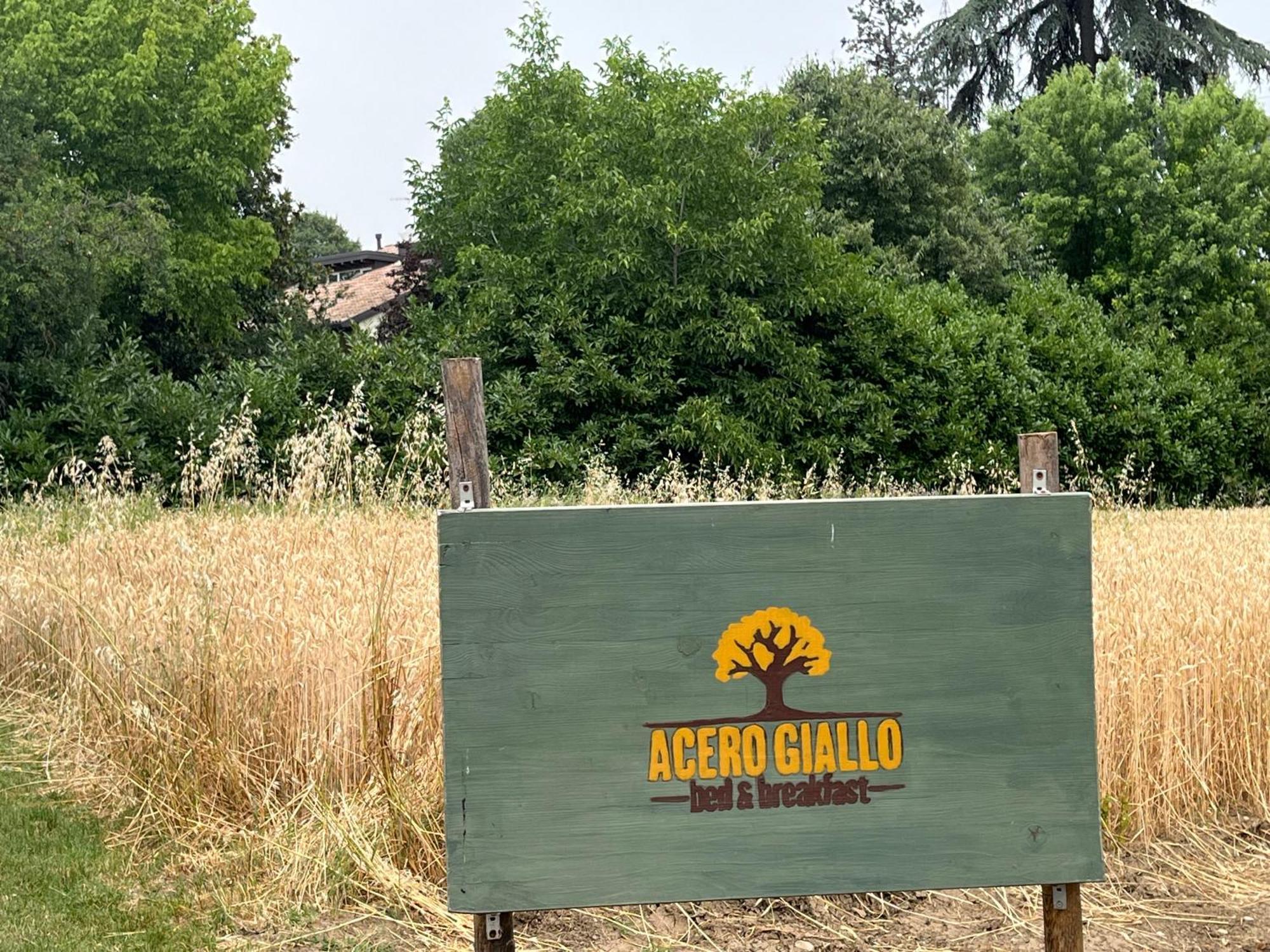 بارما Acero Giallo المظهر الخارجي الصورة